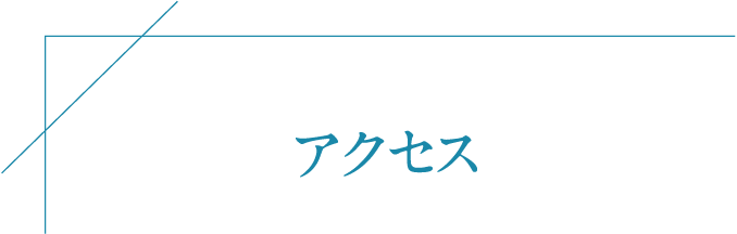 はなふさ皮膚科新宿院アクセス